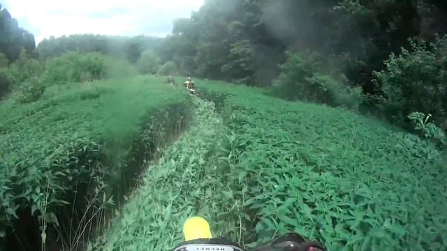 Семиозерье 2015  Бурый забуривается по-полной