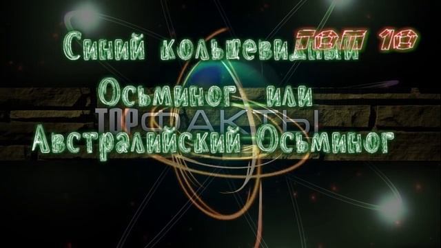 ТОР 10 САМЫХ ЯДОВИТЫХ ЖИВОТНЫХ НА ПЛАНЕТЕ смотреть онлайн