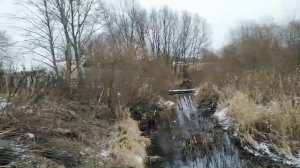 Посадка лука на зелень. Применение мха. Осмотр клубники в ноябре.