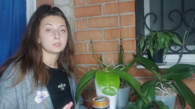 РАЗ в ГОД добавьте ЭТО в ГОРШЕК и ОРХИДЕЯ попрёт ПЫШНО ЗАЦВЕТЕТ смотреть онлайн
