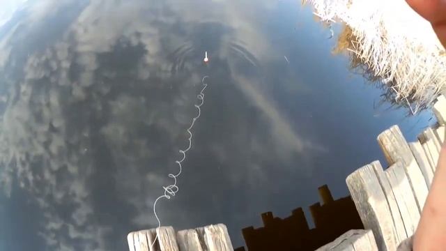 Рыбачить хапугой, получать удовольствие смотреть онлайн