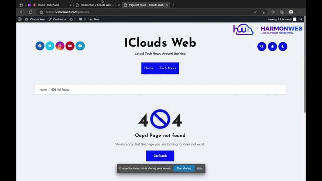 How to Properly Redirect 404 pages in WordPress | 2023 | смотреть онлайн