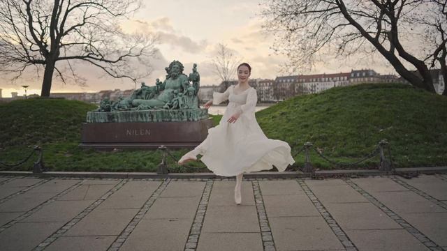 Brâncuși. Balada Drumului Spre Infinit