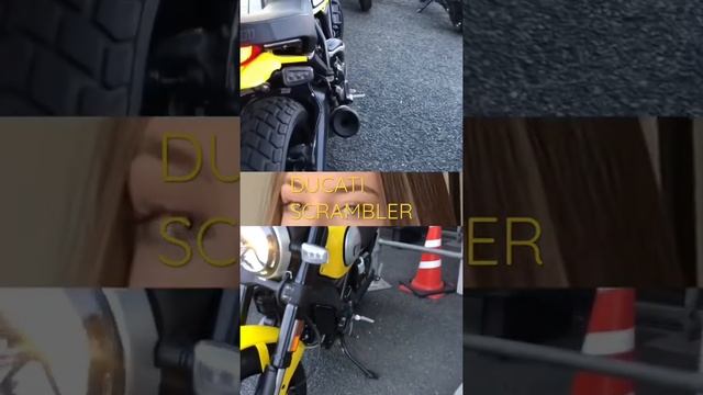 DUCATI Scrambler. Yellow. Exhaust Sound. смотреть онлайн