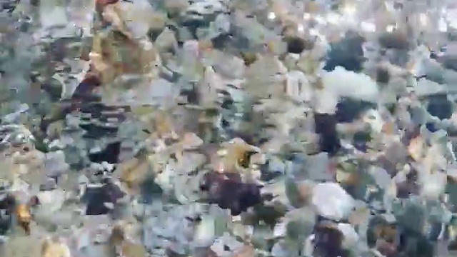 14568883_605620602953527_7031444161765048320_n