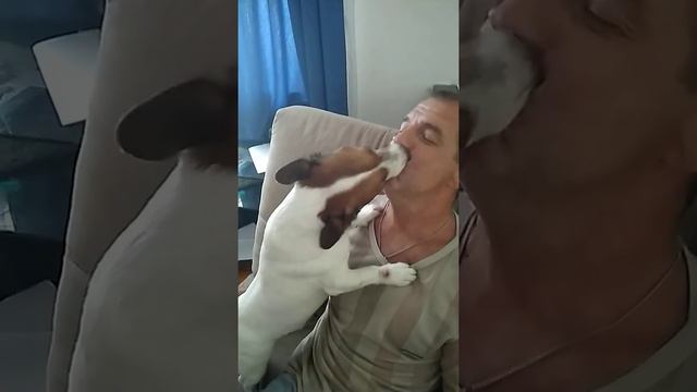 Песня "А завтра будет понедельник!" Дуэт с Джек Расселом терьером. смотреть онлайн