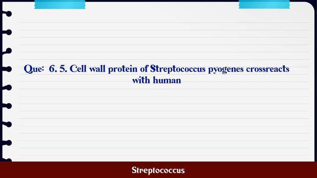 Streptococcus MCQ Questions смотреть онлайн
