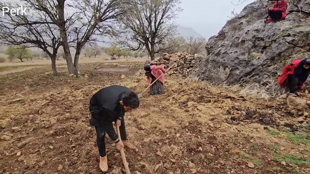 Ali Saleh Will Build A House For Fariba
