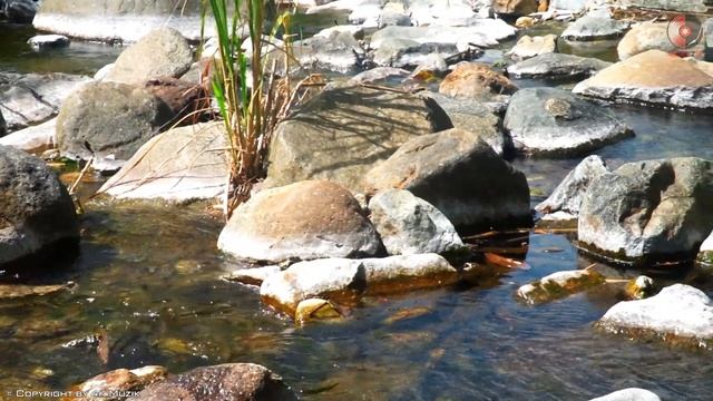 Best Relaxing Romantic Spanish Guitar - Rumba / Tango/ Mambo/ Samba - Instrumental Guitar Best Hits смотреть онлайн