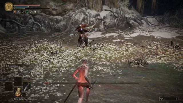 NG+7 Level 1 - Malenia [No Bleed/Frost, No Damage, No Parry, No Bloodhoud's Step, Solo] WORLD FIRST смотреть онлайн