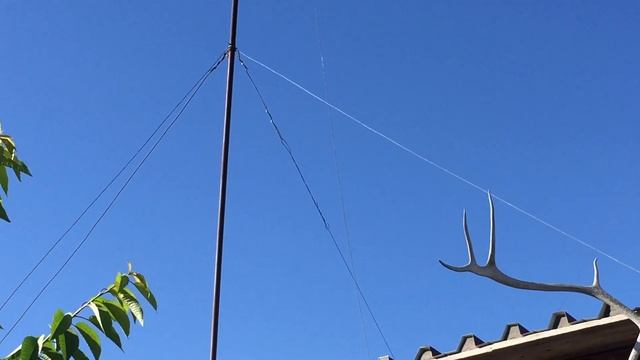 #Pigeons.Как увеличить время полёта голубей. смотреть онлайн