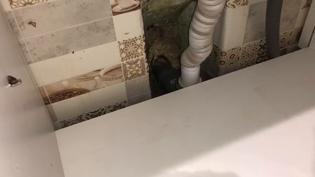 Почему воняет в ванной | Вопрос с душком смотреть онлайн