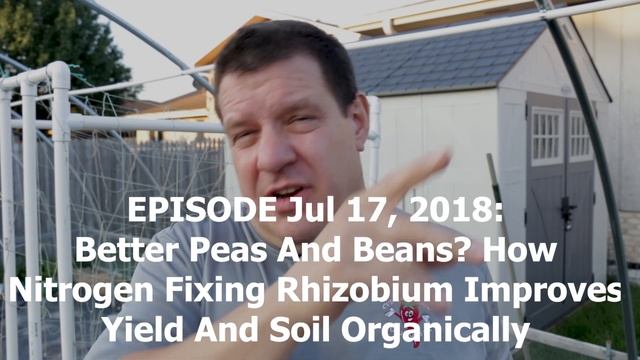 Sugar Snap Peas - How To Grow смотреть онлайн