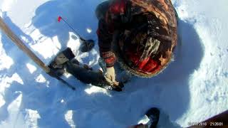 Я и Степан ловим трофейных щук.mp4 смотреть онлайн