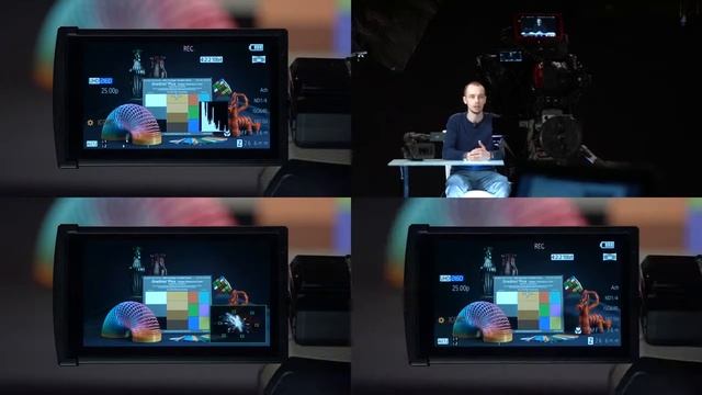Panasonic AG-DVX200 (характеристики, функции помощника оператора, режимы записи) смотреть онлайн