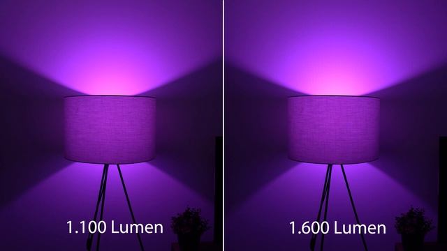 Philips Hue Vergleich: 806 Lumen Vs. 1100 Lumen Vs. 1600 Lumen