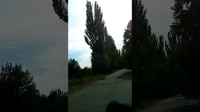 Движение без остановки -только миф смотреть онлайн