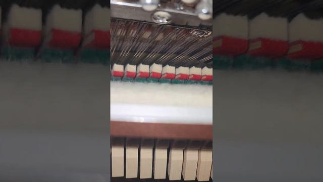 CRISTOFORI Standard Piano Amazing Grace смотреть онлайн