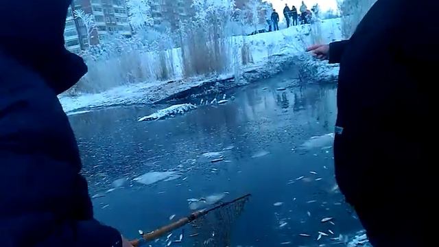 Рыбалка в Колпино)(2) смотреть онлайн