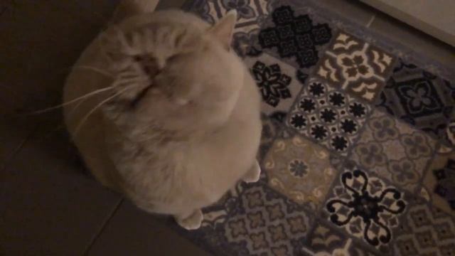 Новые очки,Чистая совесть, Ужин от дочери, очень много?