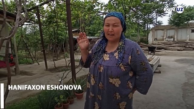 Asaka tumanida noma’lum mahluq yuzdan ortiq qo‘ylarni bo‘g‘izlab ketdi. Odamlarga ham hujum qilgan смотреть онлайн
