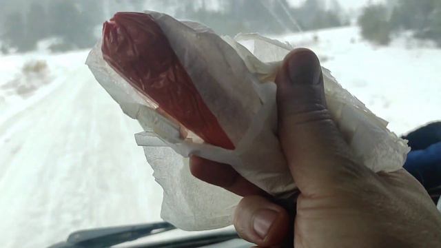 Скоро придут морозы, а пока пошел снег и тепло:) смотреть онлайн