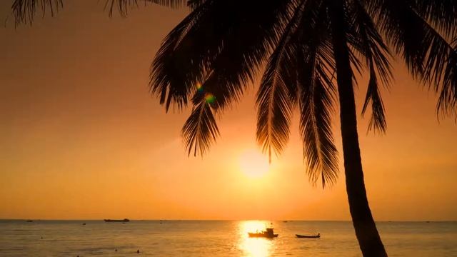 Cinemagraph-based sample made with Audioship смотреть онлайн