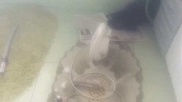 Что будет если запустить димовуху в квартире / димовуха из фена и глицерина своими руками смотреть онлайн