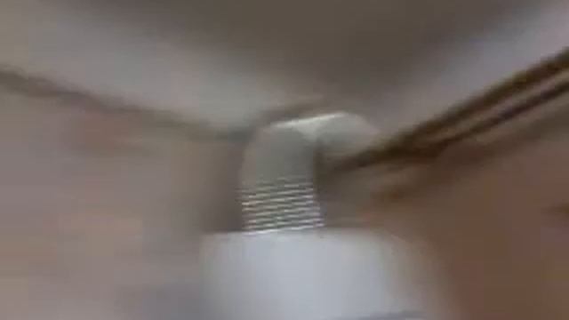 Папугай неразлучник летает по кухне смотреть онлайн