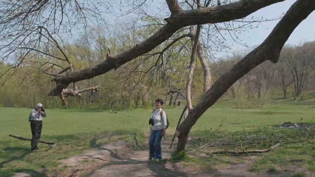 Днепр, урочище Тоннельная балка, 2019 смотреть онлайн