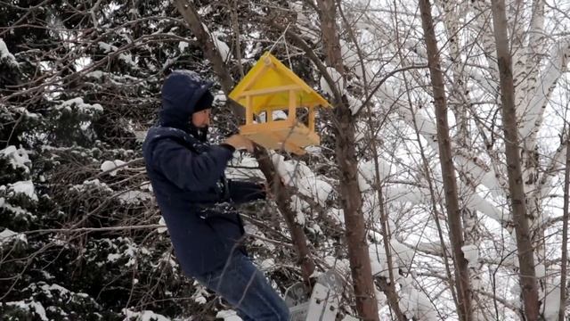 Трудно птицам зимовать - надо птицам помогать смотреть онлайн