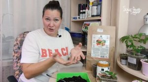 УДОБРЕНИЯ ИЗ КОСМОСА - ХИТ для  САДОВОДОВ! Один раз подкормил и забыл: тестируем умную добавку ЦИОН