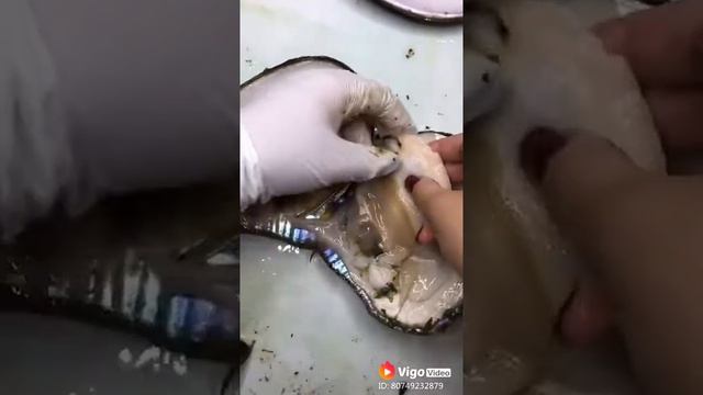 Original moti смотреть онлайн