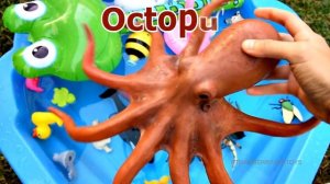 Wild Animals - Shark, Whale, Panda, Crab Education For Kids