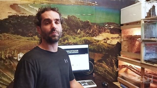 Почему не удаётся избавиться от клопов и тараканов? 5 основных причин смотреть онлайн