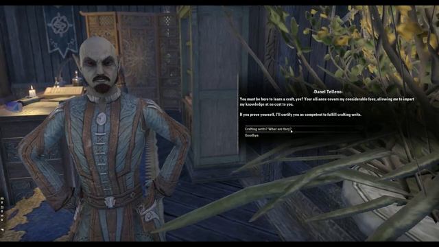 Elder Scrolls Online Elsweyr Get to Mage Guild in Rimmen for Mage Skill Line смотреть онлайн