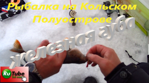 Рыбалка на Кольском Полуострове. В поиске горбатого окуня. Рыбалка на озере Имандра.