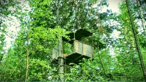 МЕДВЕДЬ СНОВА В ИЗБЕ! РАЗГРОМ ПОЛНЫЙ! СТРОИМ КОМФОРТНЫЙ ЛАБАЗ У СОЛОНЦА.