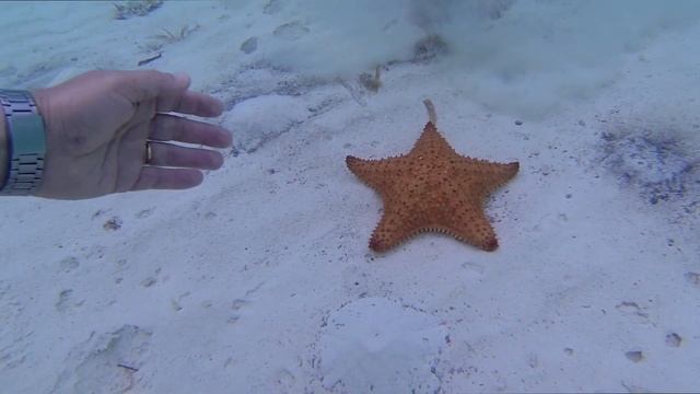 Cayo Coco - Cayo Guillermo - Playa Pilar - (mayo 2018).