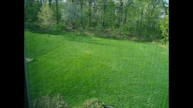BHC Wiffle Ball: Updates смотреть онлайн