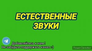 Ответ шумным соседям естественными звуками