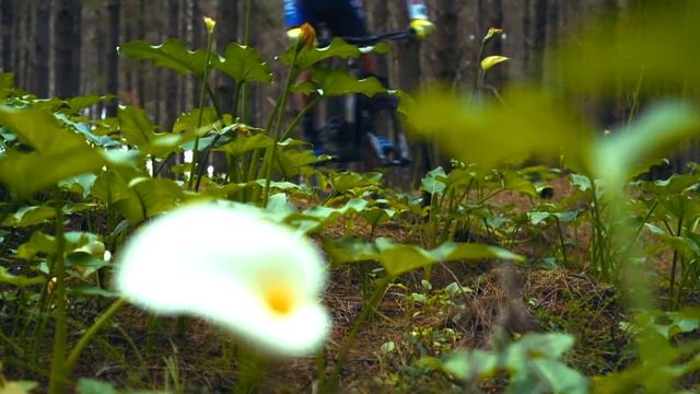 Elbows Out with the new Giant Anthem Advanced Pro 29 смотреть онлайн