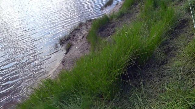 Рыбалка на щуку в ХМАО 2019 | Часть 1 | 18+ смотреть онлайн