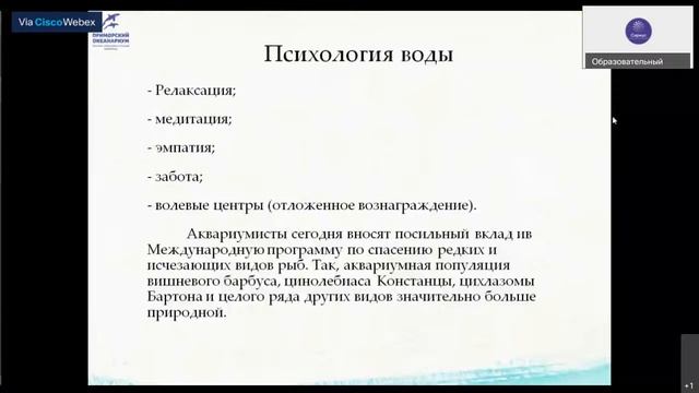 Откуда появились аквариумные рыбки и как содержали декоративных рыб в Древнем Китае и Риме? смотреть онлайн