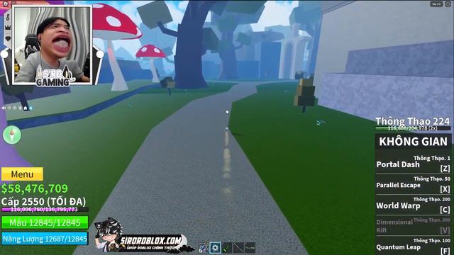 Siro Nâng Cấp Haki Quan Sát Cấp 2 Cho Đệ Tử Ruby Trong Roblox смотреть онлайн