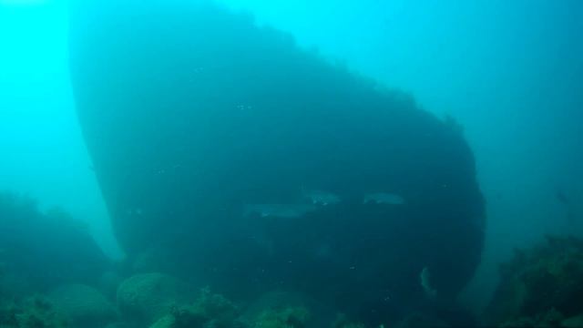 Стражи Черного моря. смотреть онлайн