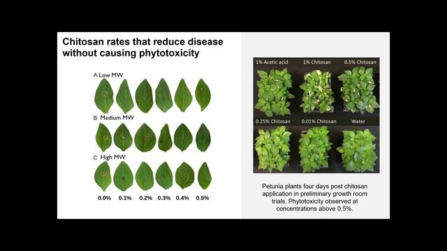 TunnelTalk – Review of Work Evaluating Product Efficacy Against Botrytis смотреть онлайн