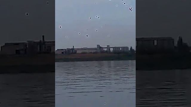 Рыбалка на Волге смотреть онлайн