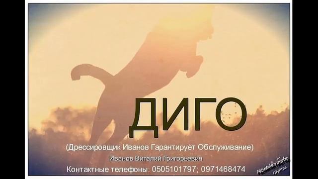 Работа в паре с разными командами! Подражание! г. Одесса, пос. Котовского т. 0505101797; 0971468474 смотреть онлайн