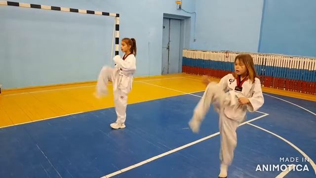 готовимся к аттестации на белые пояса #taekwondo #тхэквондо смотреть онлайн